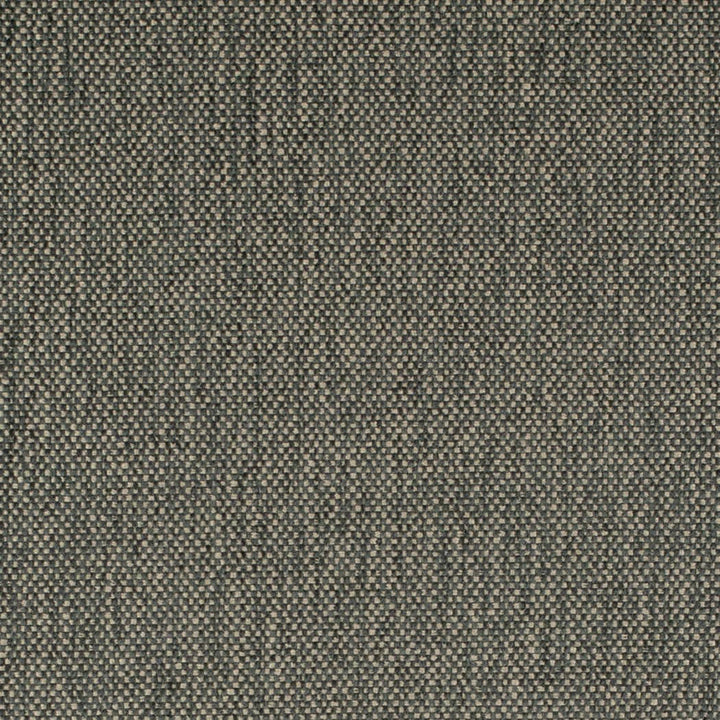 D4488 Zinc by Charlotte Designer Fabric Eco Textures 57% Olefin, 43% Polyester USA </p><p>Repeat: No Repeat 54 Inches - Swanky Fabrics -