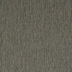 Charlotte Fabric D4488 Zinc