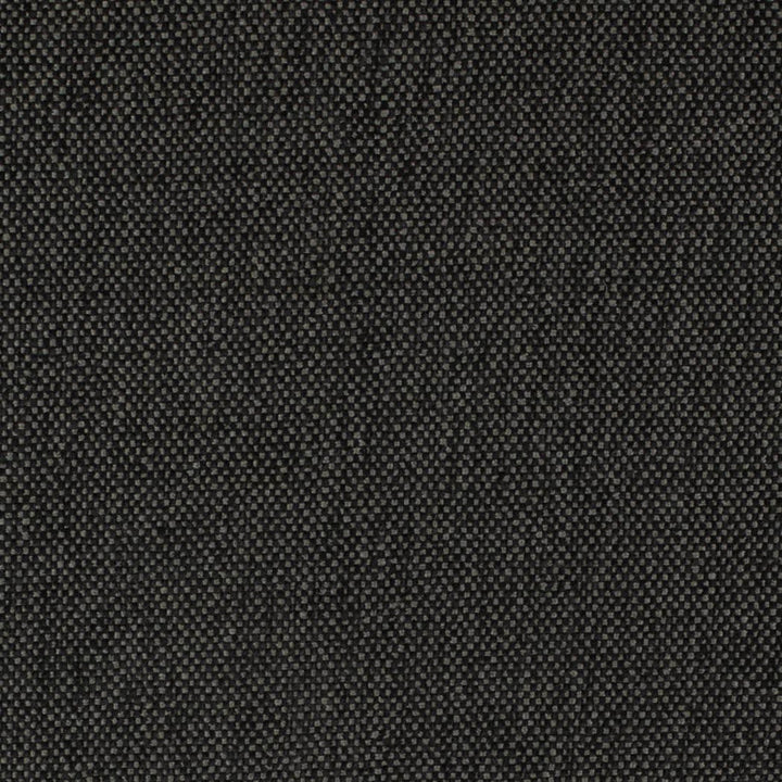 D4490 Onyx by Charlotte Designer Fabric Eco Textures 57% Olefin, 43% Polyester USA </p><p>Repeat: No Repeat 54 Inches - Swanky Fabrics -