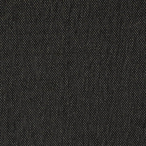 Charlotte Fabric D4490 Onyx