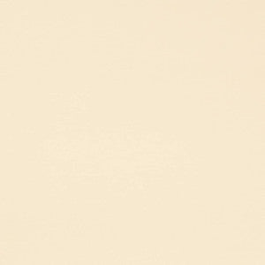Charlotte Fabric D4495 Vanilla