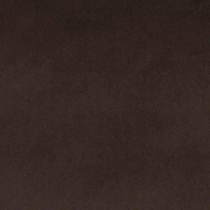 D4509 Espresso by Charlotte Designer Fabric Sueded Velvet 100% Polyester, Fleece Backing Asia </p><p>Repeat: No Repeat 54 Inches - Swanky Fabrics -