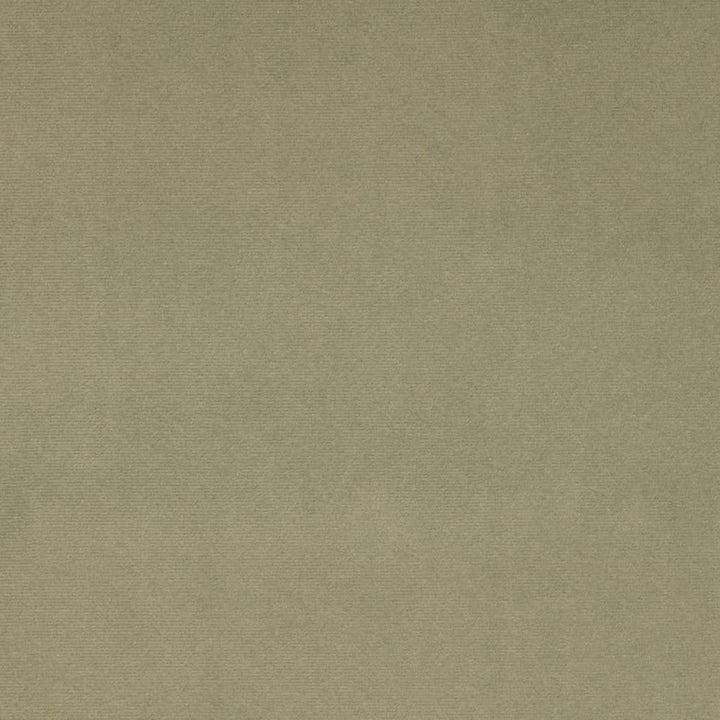 D4514 Sage by Charlotte Designer Fabric Sueded Velvet 100% Polyester, Fleece Backing Asia </p><p>Repeat: No Repeat 54 Inches - Swanky Fabrics -