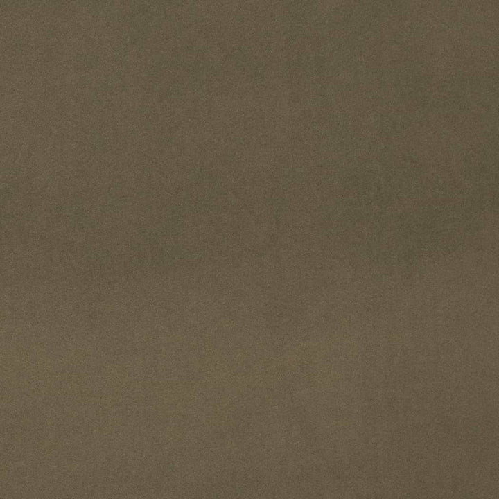 D4515 Eucalyptus by Charlotte Designer Fabric Sueded Velvet 100% Polyester, Fleece Backing Asia </p><p>Repeat: No Repeat 54 Inches - Swanky Fabrics -