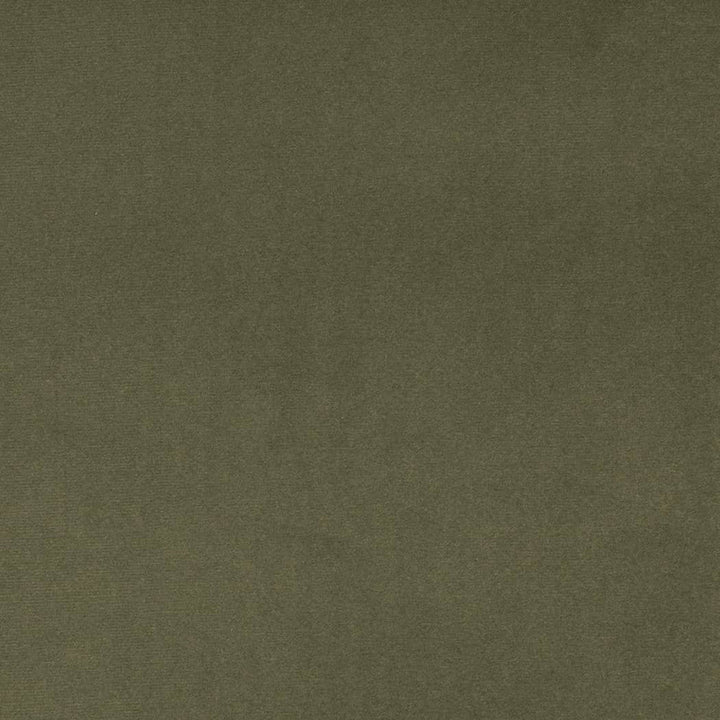 D4516 Dill by Charlotte Designer Fabric Sueded Velvet 100% Polyester, Fleece Backing Asia </p><p>Repeat: No Repeat 54 Inches - Swanky Fabrics -