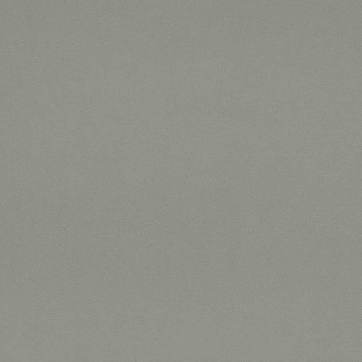 D4519 Chambray by Charlotte Designer Fabric Sueded Velvet 100% Polyester, Fleece Backing Asia </p><p>Repeat: No Repeat 54 Inches - Swanky Fabrics -