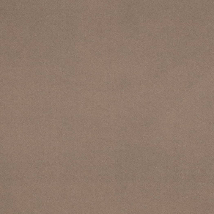 D4522 Pewter by Charlotte Designer Fabric Sueded Velvet 100% Polyester, Fleece Backing Asia </p><p>Repeat: No Repeat 54 Inches - Swanky Fabrics -