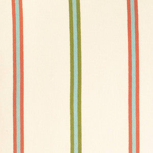 Charlotte Fabric D4538 Awning Grass