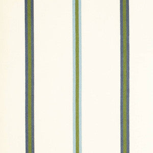 Charlotte Fabric D4539 Awning Pool