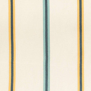 Charlotte Fabric D4542 Awning Sun