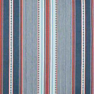 Charlotte Fabric D4565 Terrace Marine