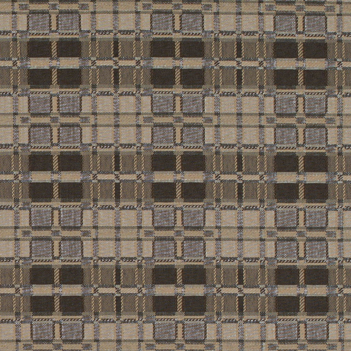 D4615 Lead by Charlotte Designer Fabric Contract Collective 100% Polyester USA Exceeds 100,000 Wyzenbeek Rubs (Heavy Duty) Horizontal 3.5" x Vertical 3.25" 54 Inches - Swanky Fabrics -