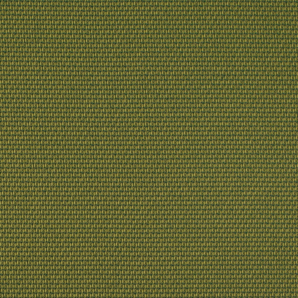 D4629 Lime by Charlotte Designer Fabric Contract Collective 100% Polyester USA Exceeds 100,000 Wyzenbeek Rubs (Heavy Duty) No Repeat 54 Inches - Swanky Fabrics -
