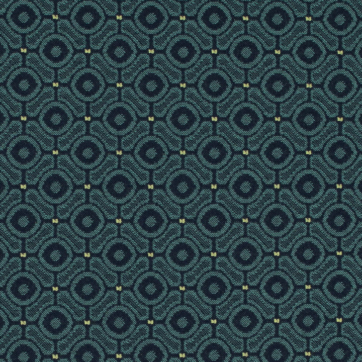 D4642 Pacific by Charlotte Designer Fabric Contract Collective 100% Polyester USA Exceeds 100,000 Wyzenbeek Rubs (Heavy Duty) Horizontal 1.75" x Vertical 1.75" 54 Inches - Swanky Fabrics -