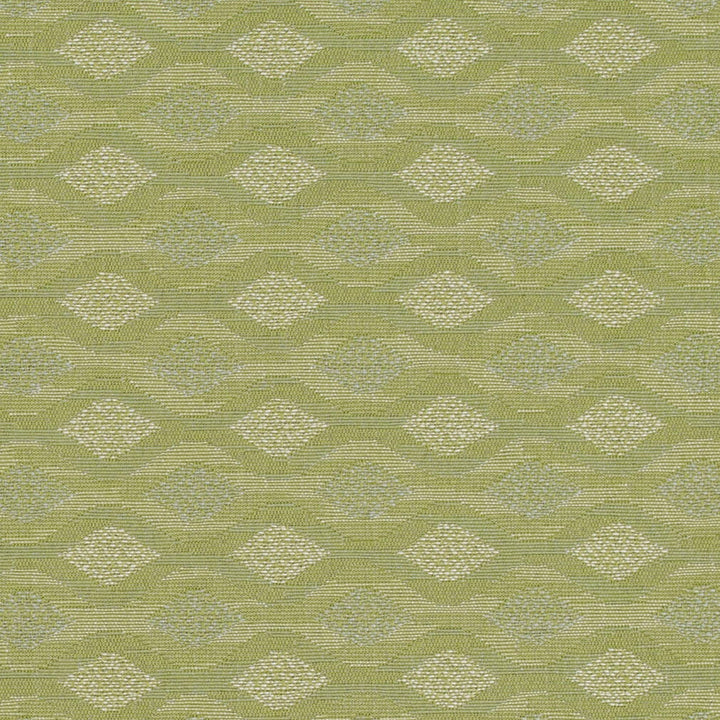 D4647 Sage by Charlotte Designer Fabric Contract Collective 100% Polyester USA Exceeds 100,000 Wyzenbeek Rubs (Heavy Duty) Horizontal 2.5" x Vertical 2.5" 54 Inches - Swanky Fabrics -