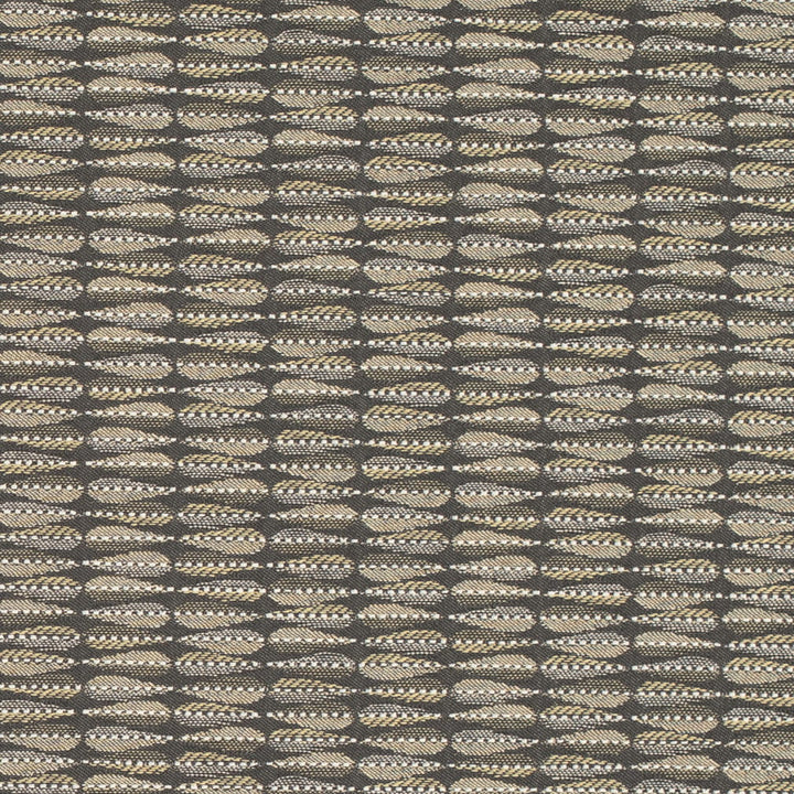 D4650 Graphite by Charlotte Designer Fabric Contract Collective 100% Polyester USA Exceeds 100,000 Wyzenbeek Rubs (Heavy Duty) Horizontal 4.75" x Vertical 3.25" 54 Inches - Swanky Fabrics -