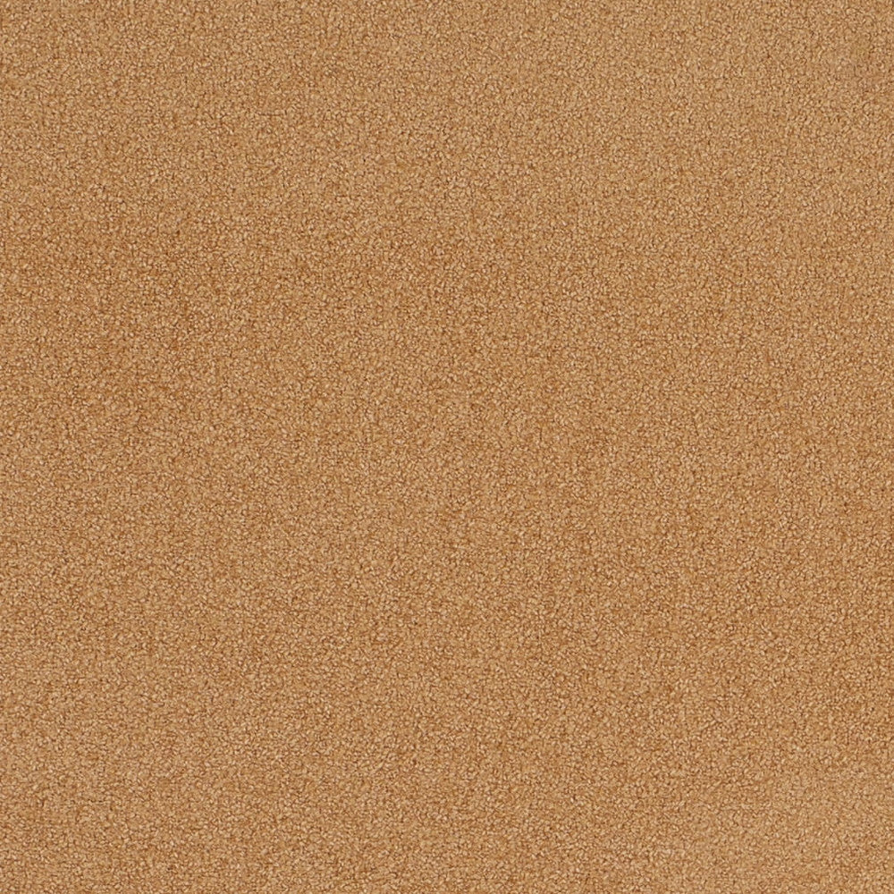 D4657 Desert by Charlotte Designer Fabric Crypton Mid Century 100% Polyester Finished in USA Exceeds 200,000 Wyzenbeek Rubs (Heavy Duty) No Repeat 54 Inches - Swanky Fabrics -