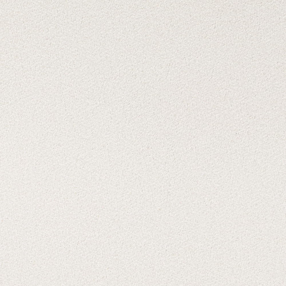 D4661 Cotton by Charlotte Designer Fabric Crypton Mid Century 100% Polyester Finished in USA Exceeds 200,000 Wyzenbeek Rubs (Heavy Duty) No Repeat 54 Inches - Swanky Fabrics -