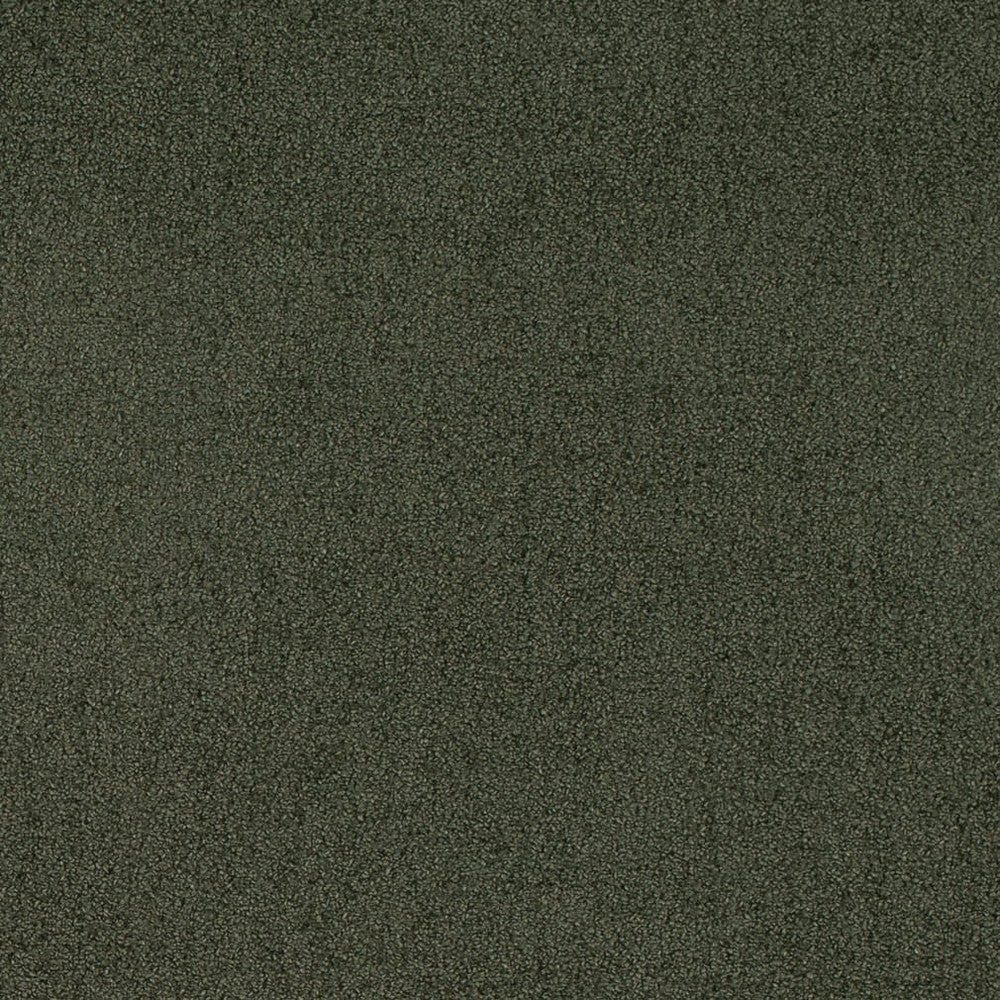 D4665 Eucalyptus by Charlotte Designer Fabric Crypton Mid Century 100% Polyester Finished in USA Exceeds 200,000 Wyzenbeek Rubs (Heavy Duty) No Repeat 54 Inches - Swanky Fabrics -