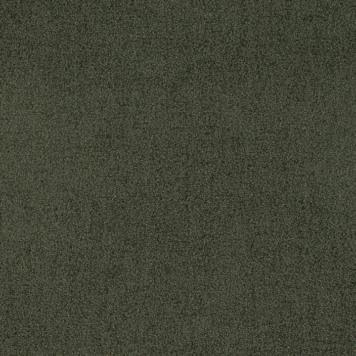 D4665 Eucalyptus by Charlotte Designer Fabric Crypton Mid Century 100% Polyester Finished in USA Exceeds 200,000 Wyzenbeek Rubs (Heavy Duty) No Repeat 54 Inches - Swanky Fabrics -