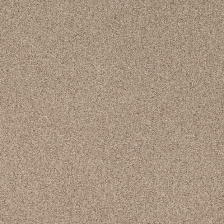 D4672 Pebble by Charlotte Designer Fabric Crypton Mid Century 100% Polyester Finished in USA Exceeds 200,000 Wyzenbeek Rubs (Heavy Duty) No Repeat 54 Inches - Swanky Fabrics -
