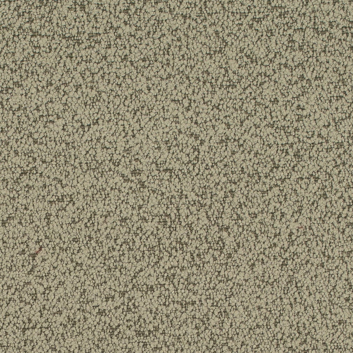 D4684 Sage by Charlotte Designer Fabric Crypton Mid Century 100% Polyester Finished in USA Exceeds 200,000 Wyzenbeek Rubs (Heavy Duty) No Repeat 54 Inches - Swanky Fabrics -