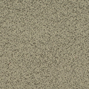 Charlotte Fabric D4684 Sage