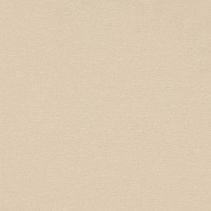 D4699 Pearl by Charlotte Designer Fabric Luxe Velvet II 100% Polyester Asia Exceeds 120,000 Wyzenbeek Rubs (Heavy Duty) No Repeat 54 Inches - Swanky Fabrics -