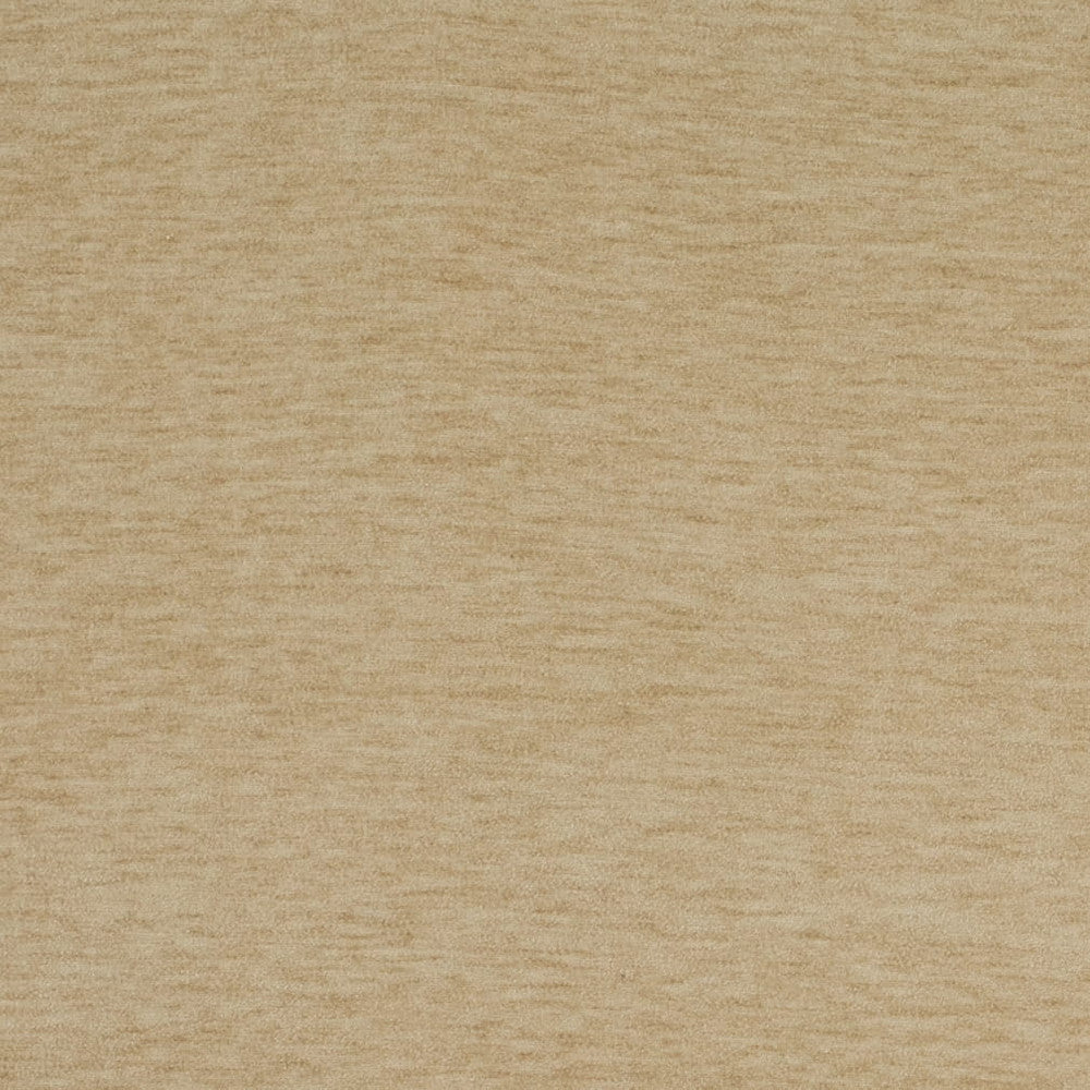 D4701 Champagne by Charlotte Designer Fabric Luxe Velvet II 100% Polyester Asia Exceeds 120,000 Wyzenbeek Rubs (Heavy Duty) No Repeat 54 Inches - Swanky Fabrics -