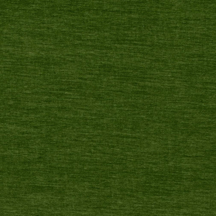 D4709 Grass by Charlotte Designer Fabric Luxe Velvet II 100% Polyester Asia Exceeds 120,000 Wyzenbeek Rubs (Heavy Duty) No Repeat 54 Inches - Swanky Fabrics -