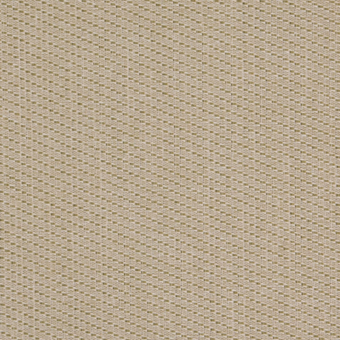Value Classics Spring D4995 by Charlotte Fabrics Fabric Charlotte Fabrics Fabric Value Classics 100% Olefin USA No Repeat 54"  - Fabric Carolina - 