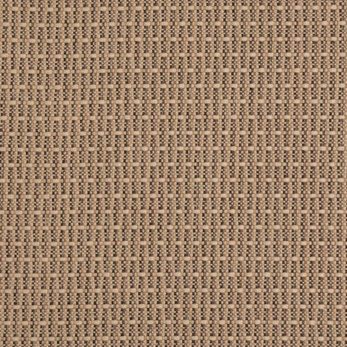 Value Classics Biscotti D5000 by Charlotte Fabrics Fabric Charlotte Fabrics Fabric Value Classics 100% Olefin USA No Repeat 54"  - Fabric Carolina - 