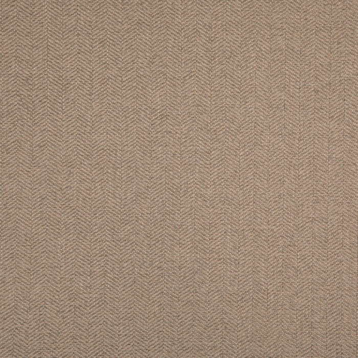 Value Modern Sage D5006 by Charlotte Fabrics Fabric Charlotte Fabrics Fabric Value Modern 100% Polypropylene USA No Repeat 54"  - Fabric Carolina - 