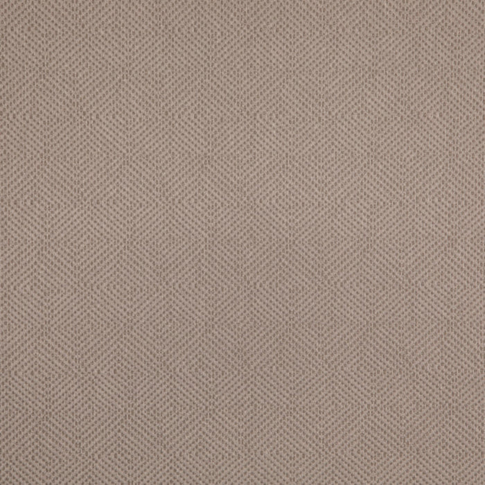 Value Modern Dove D5024 by Charlotte Fabrics Fabric Charlotte Fabrics Fabric Value Modern 100% Polypropylene USA Horizontal 2.75" x Vertical 2.5" 54"  - Fabric Carolina - 