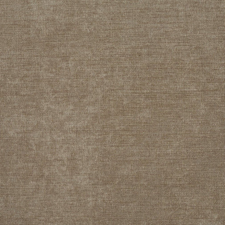 D600 Driftwood by Charlotte Designer Fabric Automotive Fabric 100% Woven Polyester Asia Exceeds 130,000 Wyzenbeek Rubs (Heavy Duty) No Repeat 54 Inches - Swanky Fabrics -