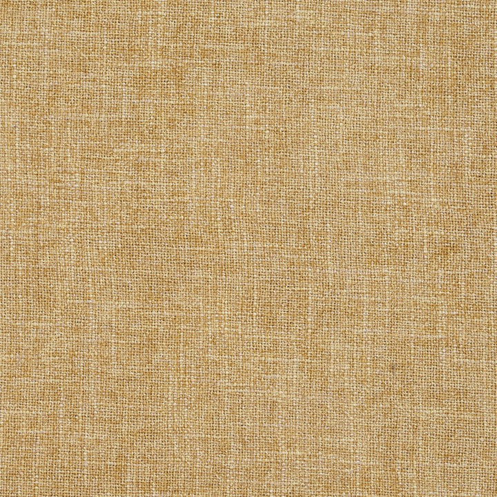 D685 Straw by Charlotte Designer Fabric Chenille Textures 82% Polyester, 18% Rayon Asia Exceeds 80,000 Wyzenbeek Rubs (Heavy Duty) No Repeat 54 Inches - Swanky Fabrics -