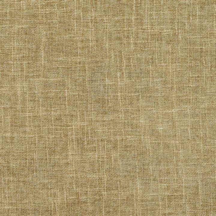 D697 Sage by Charlotte Designer Fabric Chenille Textures 82% Polyester, 18% Rayon Asia Exceeds 160,000 Wyzenbeek Rubs (Heavy Duty) </p><p>Repeat: 54 Inches - Swanky Fabrics -