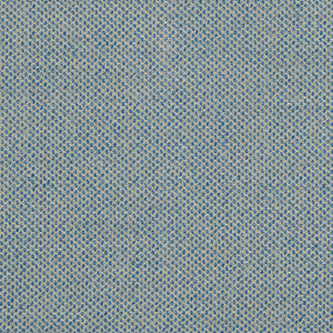 Charlotte Fabric D826 Slate Blue