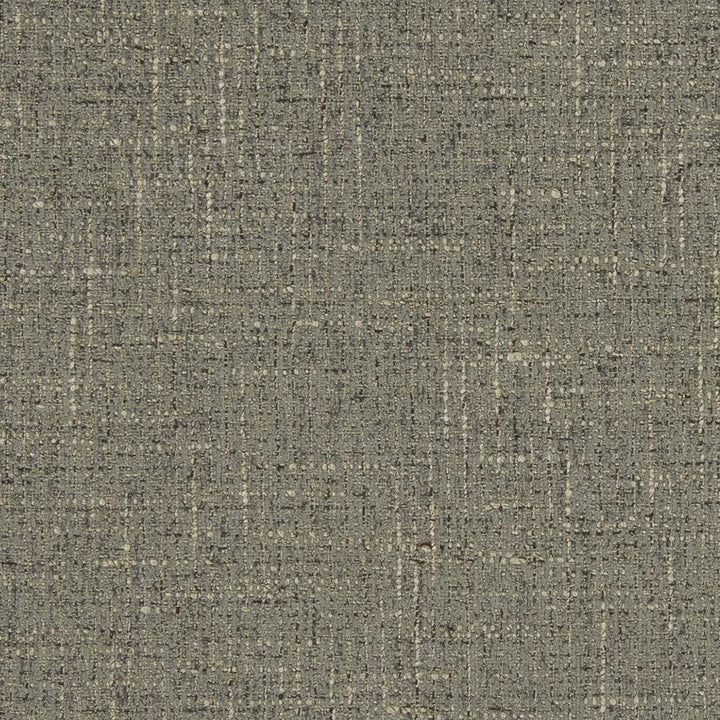 D850 Pebble by Charlotte Designer Fabric Contemporary Wovens II 100% Woven Polyester Asia Exceeds 100,000 Wyzenbeek Rubs (Heavy Duty) No Repeat 54 Inches - Swanky Fabrics -