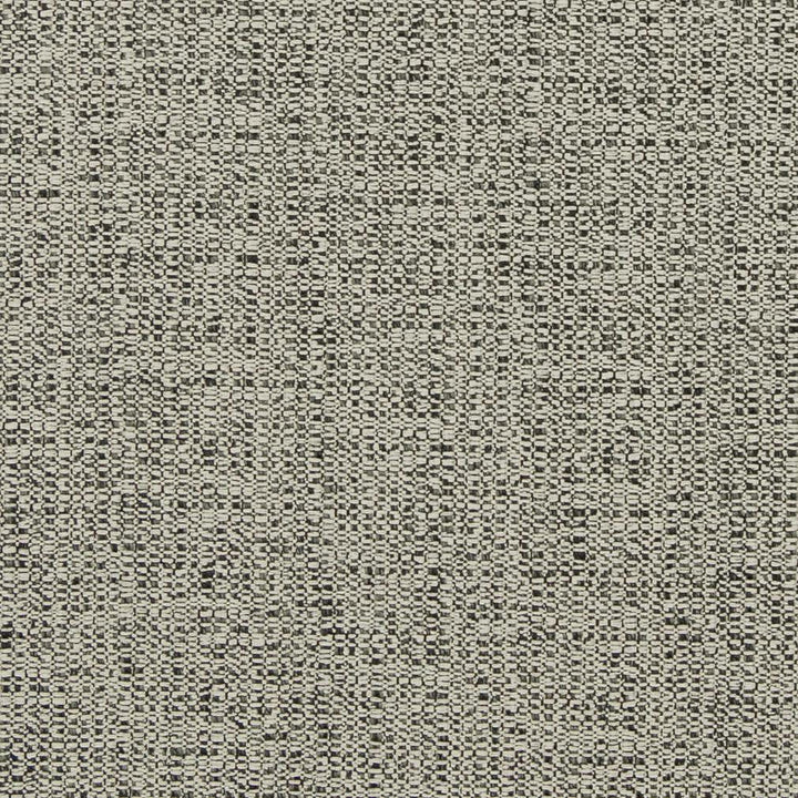D867 Ash by Charlotte Designer Fabric Contemporary Wovens II 100% Woven Polyester Asia Exceeds 35,000 Wyzenbeek Rubs (Heavy Duty) No Repeat 54 Inches - Swanky Fabrics -