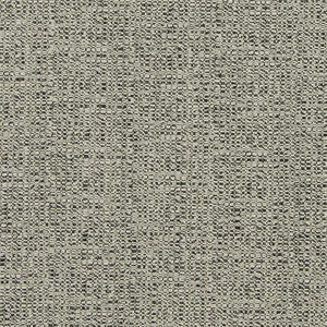 Charlotte Fabric D867 Ash
