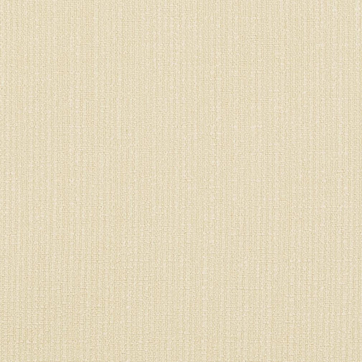 D868 Cream by Charlotte Designer Fabric Contemporary Wovens II 100% Woven Polyester Asia Exceeds 35,000 Wyzenbeek Rubs (Heavy Duty) No Repeat 54 Inches - Swanky Fabrics -