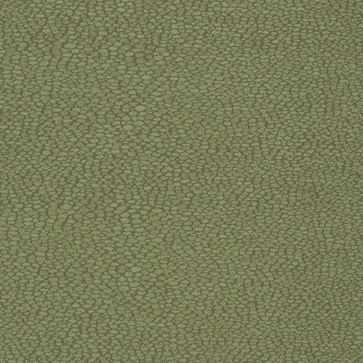 D898 Pebble/Sage by Charlotte Designer Fabric Durables III 100% Woven Polyester Made In USA Exceeds 100,000 Wyzenbeek Rubs (Heavy Duty) No Repeat 54 Inches - Swanky Fabrics -