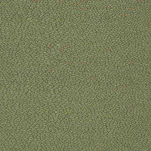 Charlotte Fabric D898 Pebble/Sage