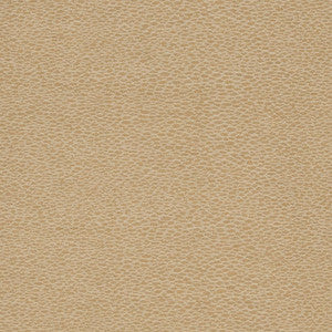 Charlotte Fabric D902 Pebble/Taupe