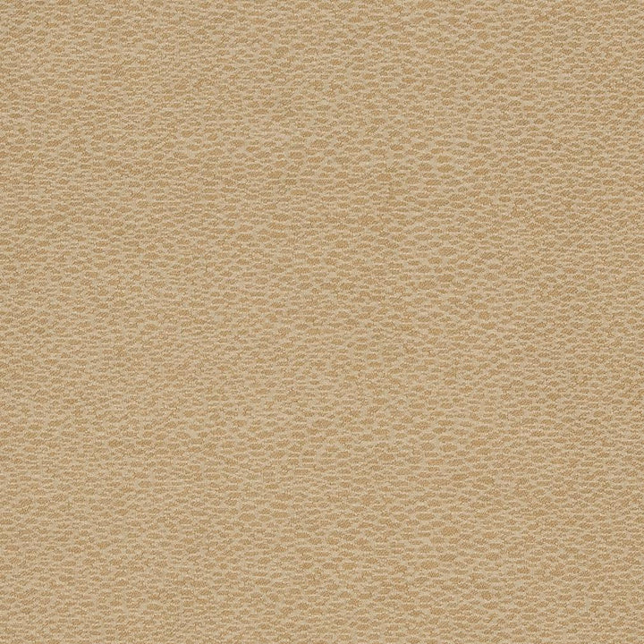 D902 Pebble/Taupe by Charlotte Designer Fabric Durables III 100% Woven Polyester Made In USA Exceeds 100,000 Wyzenbeek Rubs (Heavy Duty) </p><p>Repeat: 54 Inches - Swanky Fabrics -
