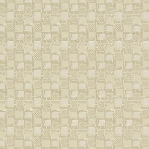 Charlotte Fabric D923 Squares/Canvas