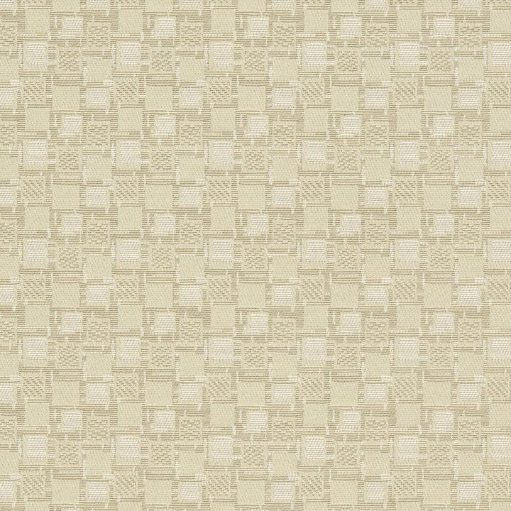 D923 Squares/Canvas by Charlotte Designer Fabric Durables III 100% Woven Polyester Made In USA Exceeds 100,000 Wyzenbeek Rubs (Heavy Duty) </p><p>Repeat: Horizontal: 1.75" x Vertical: 1.75" 54 Inches - Swanky Fabrics -