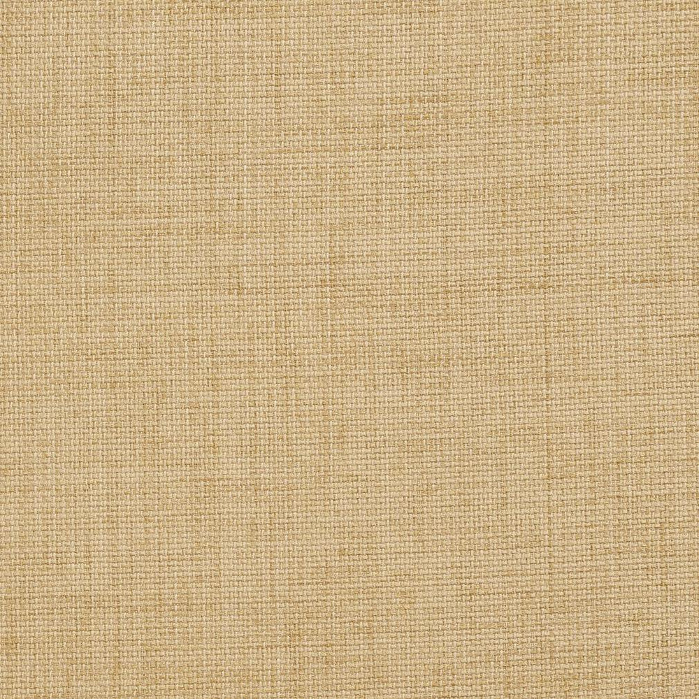 D958 Birch by Charlotte Designer Fabric Prints & Wovens 100% Solution Dyed Woven Acrylic Made In USA Exceeds 50,000 Wyzenbeek Rubs (Heavy Duty) No Repeat 54 Inches - Swanky Fabrics -