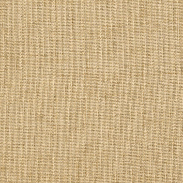 D958 Birch by Charlotte Designer Fabric Prints & Wovens 100% Solution Dyed Woven Acrylic Made In USA Exceeds 50,000 Wyzenbeek Rubs (Heavy Duty) No Repeat 54 Inches - Swanky Fabrics -
